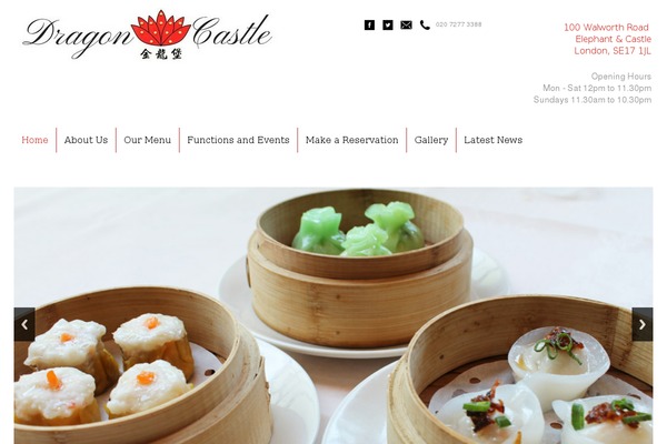 dragoncastle theme websites examples