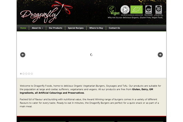 Modernize v3 theme site design template sample