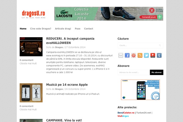 Simpleton theme site design template sample