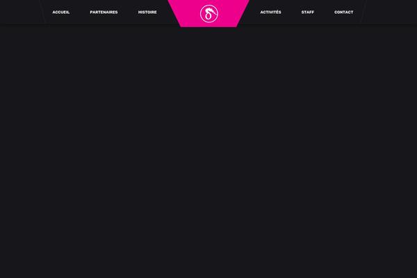 PlayerX theme site design template sample