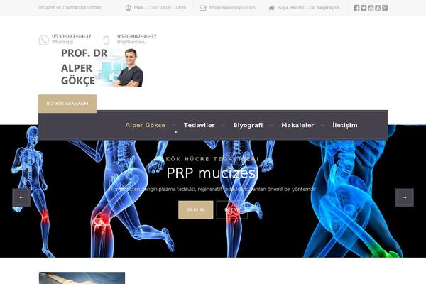 Site using Youtube-video-player-pro plugin