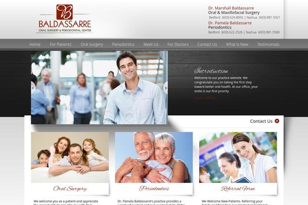 2043-template-r theme site design template sample
