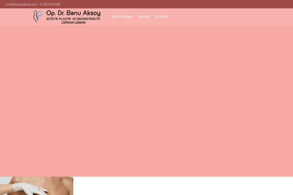 Touchup theme site design template sample