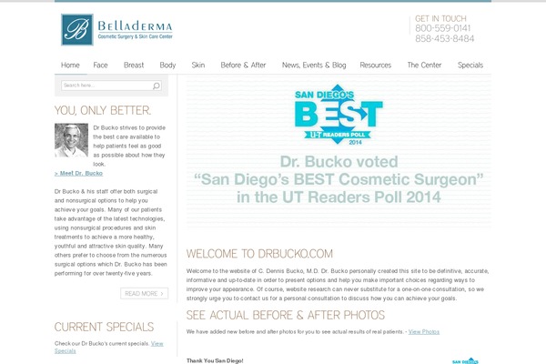 Vilisya theme site design template sample