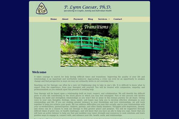 Drc theme site design template sample