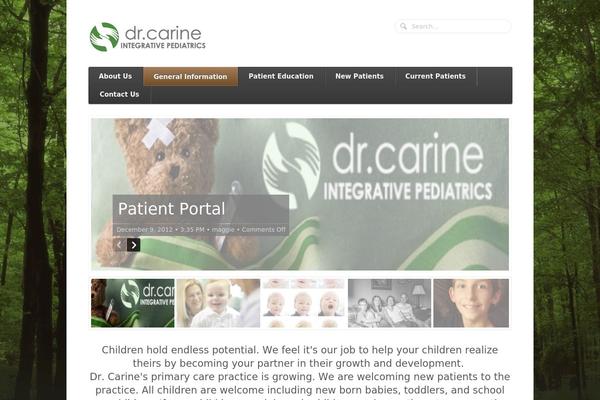 Function theme site design template sample