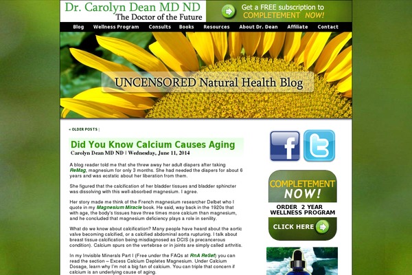 Nutrico theme site design template sample