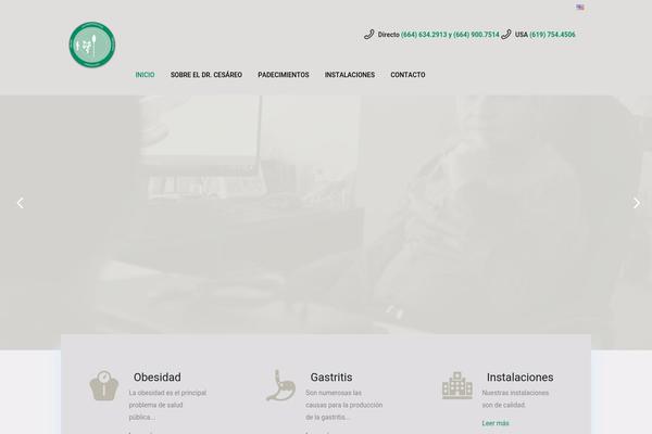 Bridge theme site design template sample