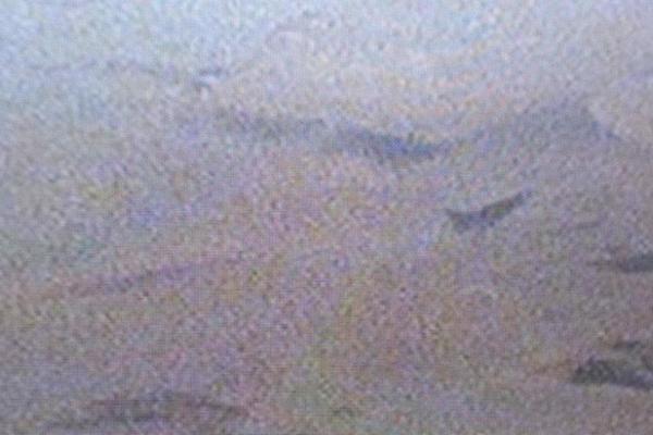 Twenty Seventeen theme site design template sample