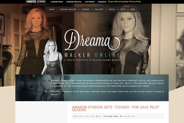 2 theme site design template sample