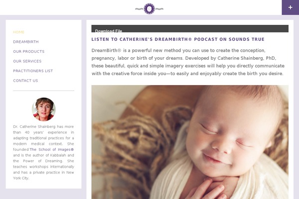 dreambirth.co site used Tatamichildthemefolder