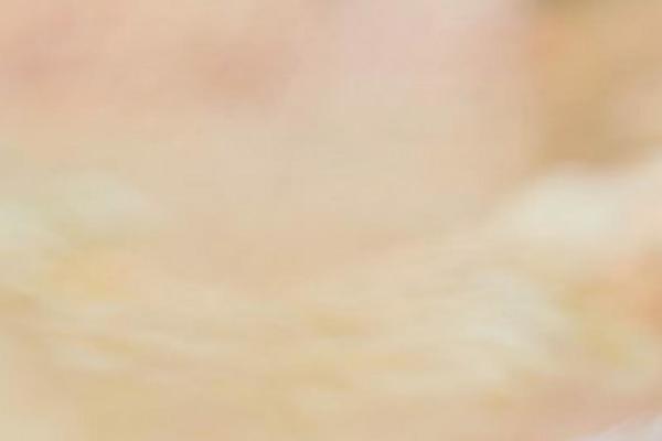 Merlin theme site design template sample