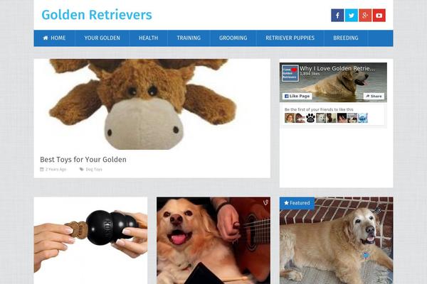 SociallyViral theme site design template sample