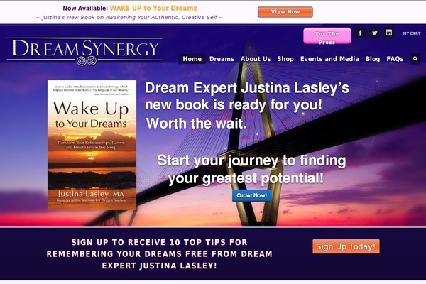 dreamchild theme websites examples