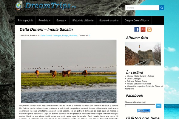 Traveller theme site design template sample