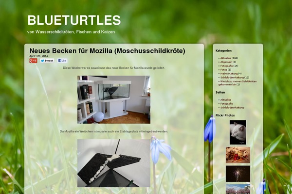 Glossy Stylo theme site design template sample