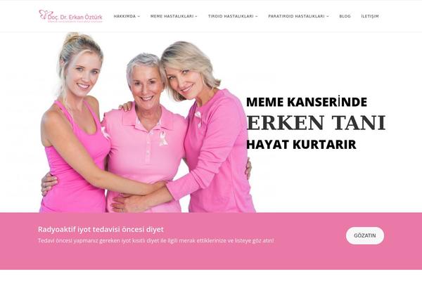 Apicona theme site design template sample