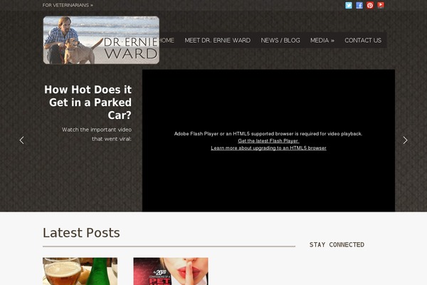 Mural theme site design template sample