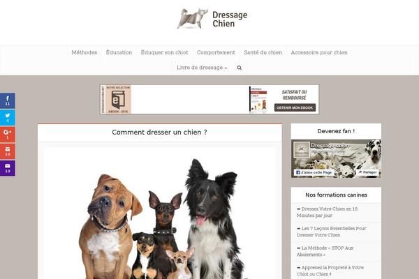 Site using Ultimate-blocks plugin