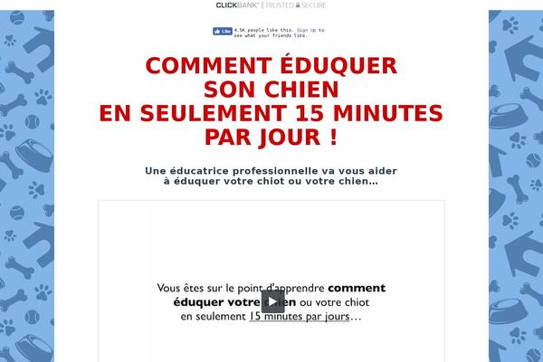 X Child theme site design template sample