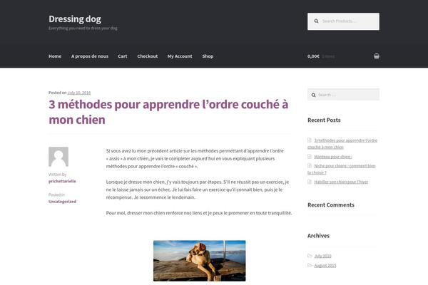 BizWay theme site design template sample