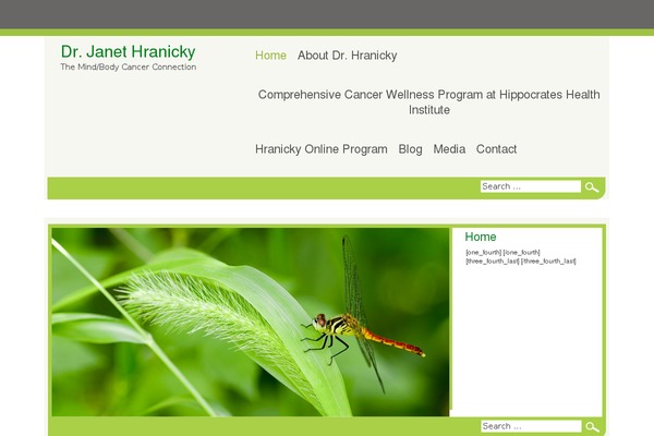 Newlife theme site design template sample