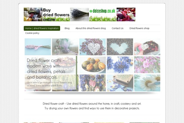 Colorway Theme theme site design template sample