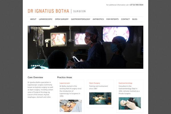 Solid Wp theme site design template sample