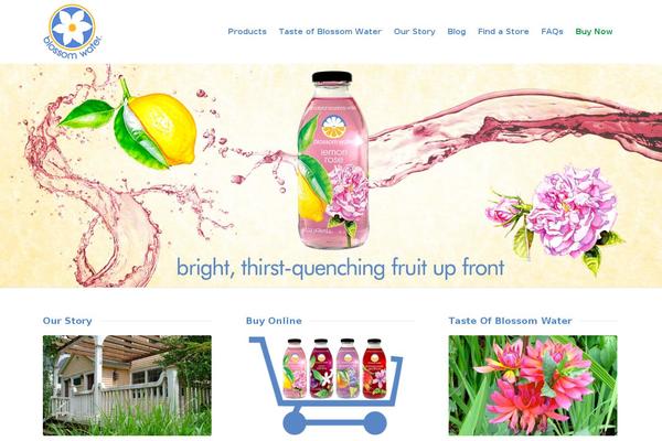 Site using Maps by Store Locator Plus plugin
