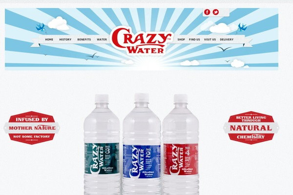 crazywater_2 theme websites examples