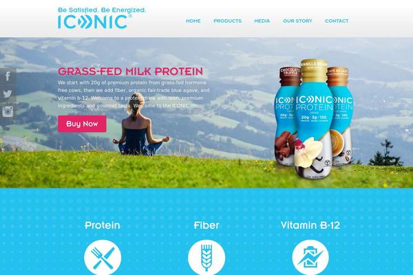 Iconic theme site design template sample