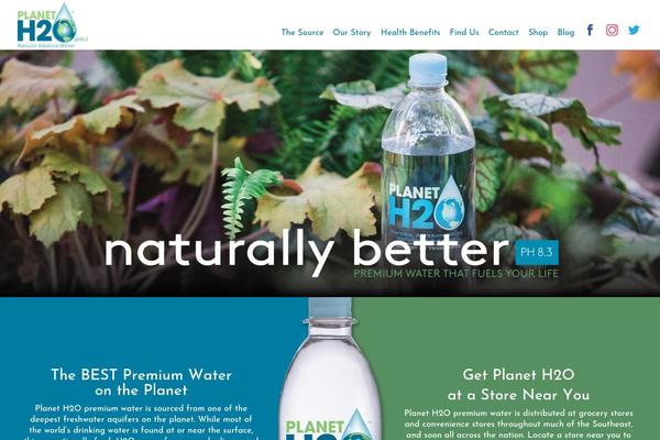 Divi Child theme site design template sample