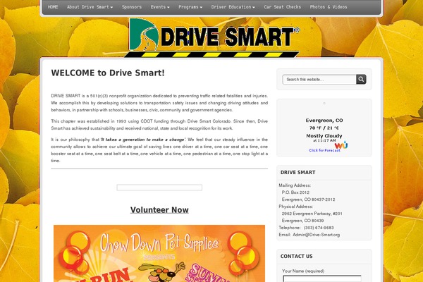 drive-smart.org site used Services