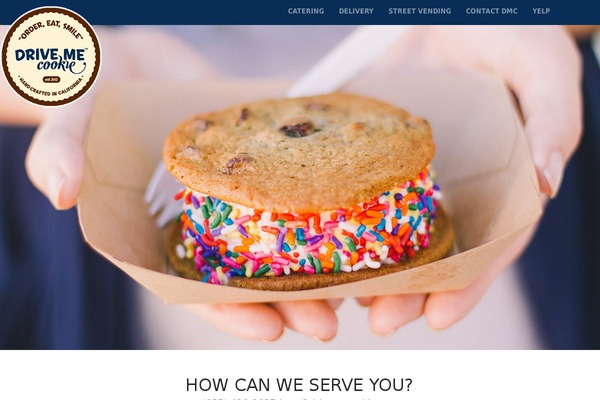 Hayden theme site design template sample