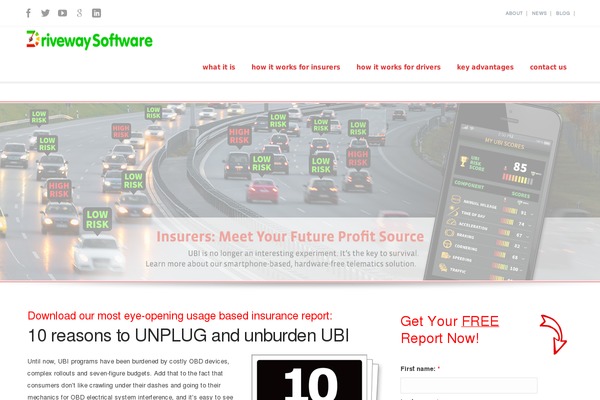 Florida theme site design template sample