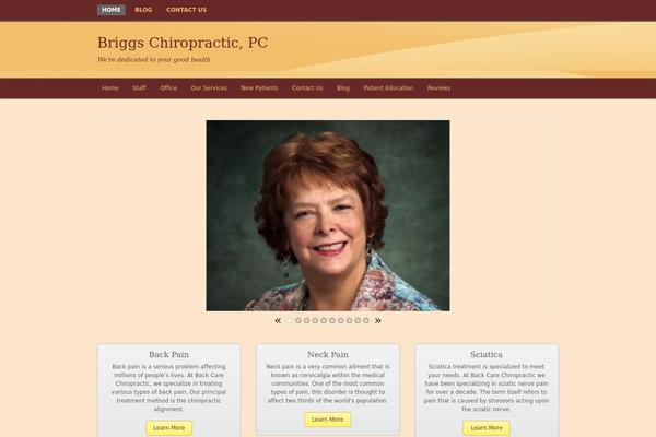 Shopo theme site design template sample