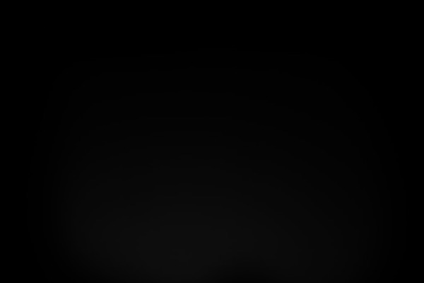Vixen theme site design template sample