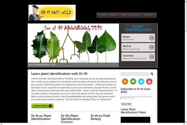 Peekaboo2 theme site design template sample