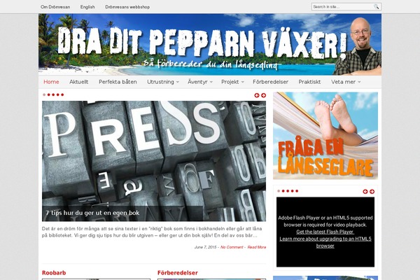 BlogNews theme site design template sample