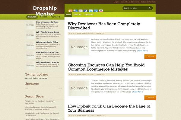 Mentor theme site design template sample