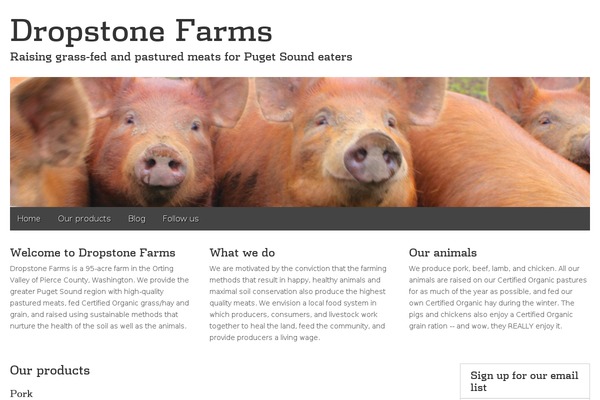 Gridiculous Pro theme site design template sample