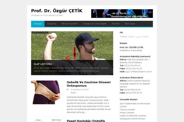 GoPress theme site design template sample