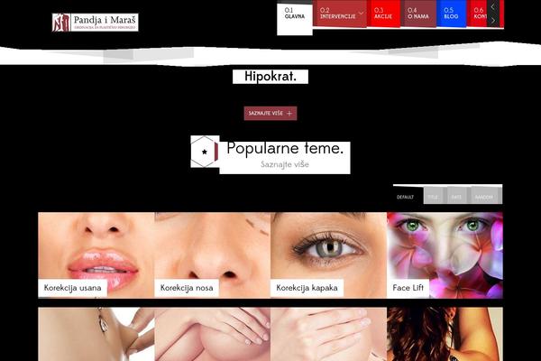 Rt_fracture_wp theme site design template sample
