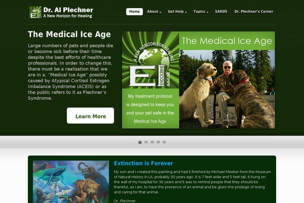 drplechner.com site used Fullside