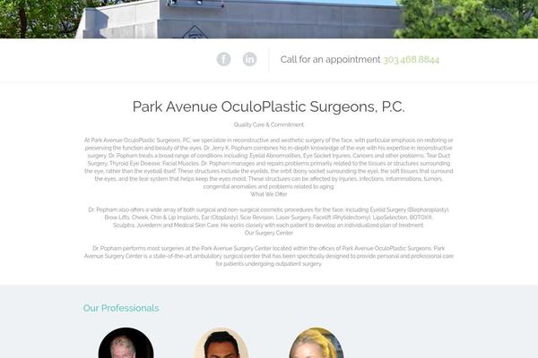Paeon theme site design template sample