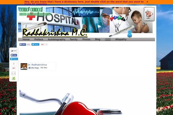 Site using Animated Twitter Bird plugin