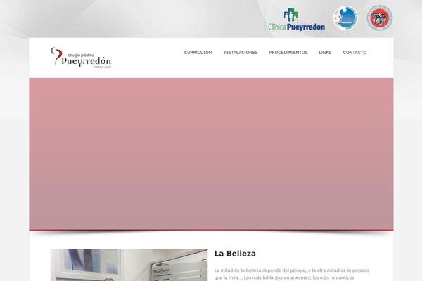 SoulMedic theme site design template sample