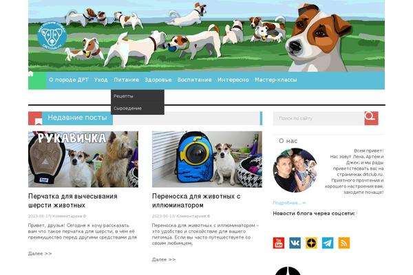 Adapter theme site design template sample