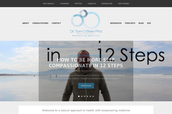 Adapt theme site design template sample