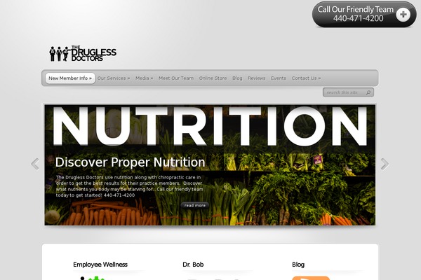 TheProfessional theme site design template sample